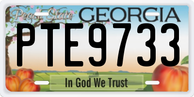 GA license plate PTE9733