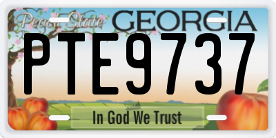 GA license plate PTE9737