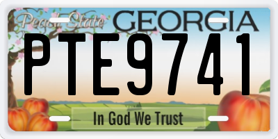 GA license plate PTE9741