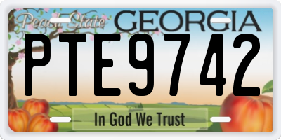GA license plate PTE9742