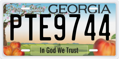 GA license plate PTE9744
