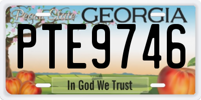 GA license plate PTE9746
