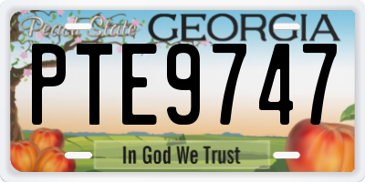 GA license plate PTE9747