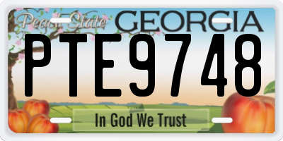GA license plate PTE9748