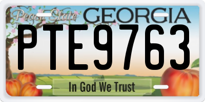 GA license plate PTE9763
