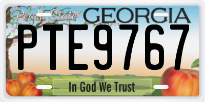 GA license plate PTE9767