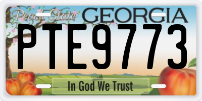 GA license plate PTE9773