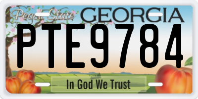 GA license plate PTE9784