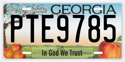 GA license plate PTE9785