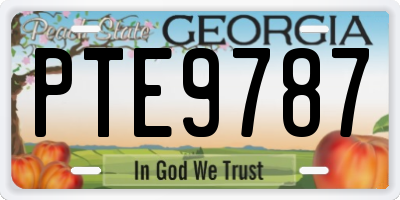 GA license plate PTE9787