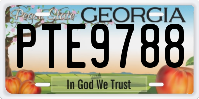 GA license plate PTE9788