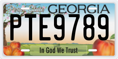GA license plate PTE9789