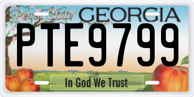 GA license plate PTE9799