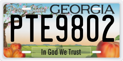 GA license plate PTE9802
