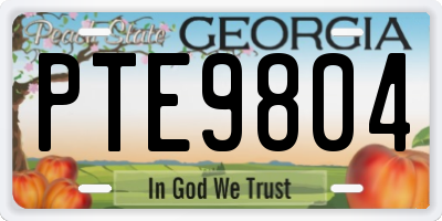 GA license plate PTE9804