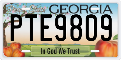 GA license plate PTE9809