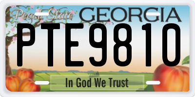 GA license plate PTE9810