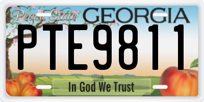 GA license plate PTE9811