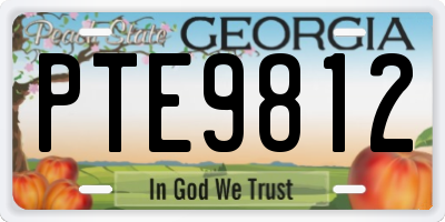 GA license plate PTE9812
