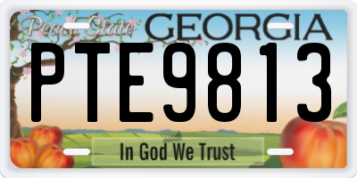 GA license plate PTE9813