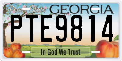 GA license plate PTE9814