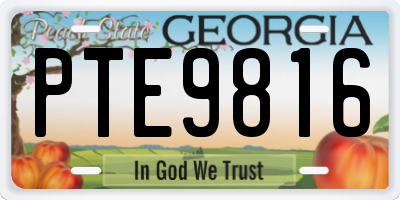GA license plate PTE9816