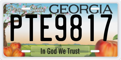 GA license plate PTE9817