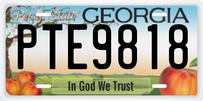 GA license plate PTE9818