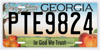 GA license plate PTE9824