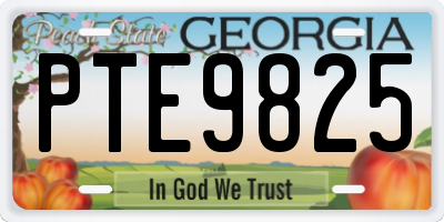 GA license plate PTE9825