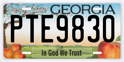 GA license plate PTE9830