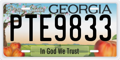 GA license plate PTE9833