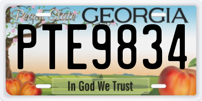 GA license plate PTE9834