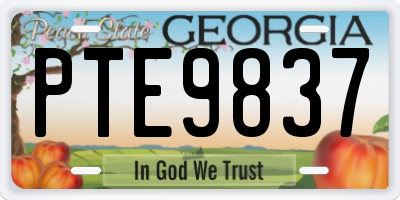 GA license plate PTE9837