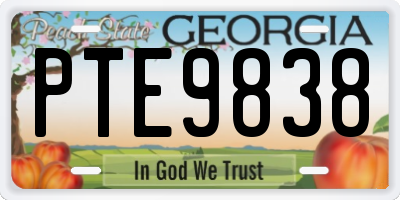 GA license plate PTE9838