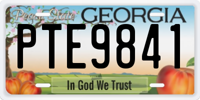 GA license plate PTE9841