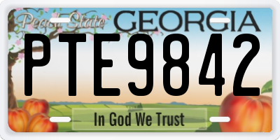 GA license plate PTE9842