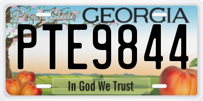 GA license plate PTE9844