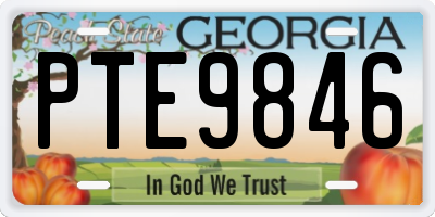 GA license plate PTE9846