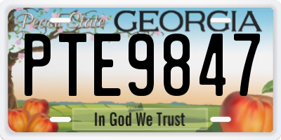 GA license plate PTE9847