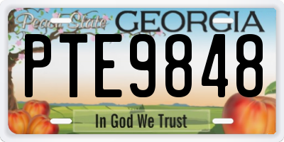 GA license plate PTE9848