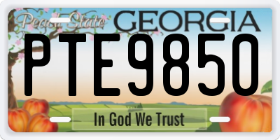 GA license plate PTE9850