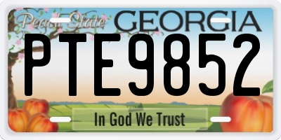 GA license plate PTE9852