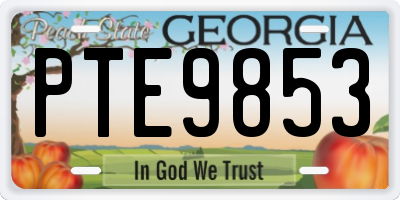 GA license plate PTE9853