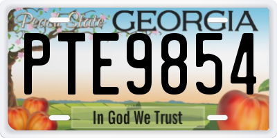 GA license plate PTE9854