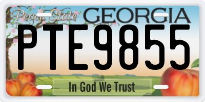 GA license plate PTE9855