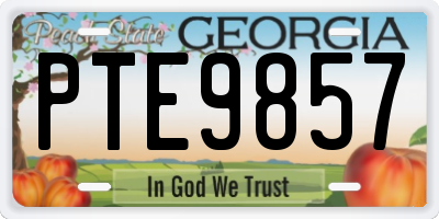 GA license plate PTE9857