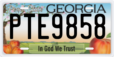 GA license plate PTE9858