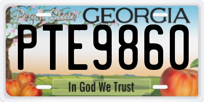 GA license plate PTE9860