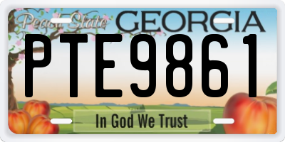 GA license plate PTE9861